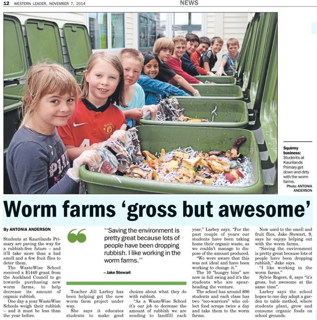 Hungry Bin Worm Farm - Kaurilands Primary in West Auckland installed 10 hungry bins, inspiring and educating their students to make positive choices about what they do with their school's food waste.