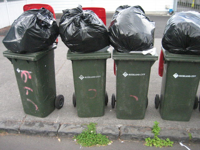 Hungry Bin Worm Farm - Approximately 50% of the waste stream in Western cities is organic waste, most of which is food waste.