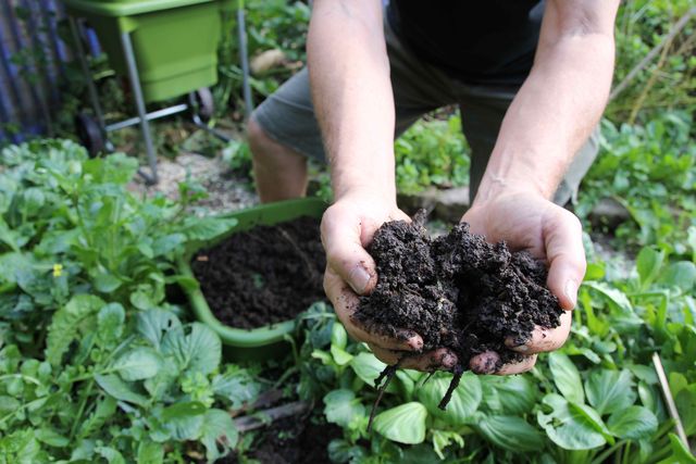 Hungry Bin Worm Farm - High-quality compost is one of the most important ingredients of a healthy garden.