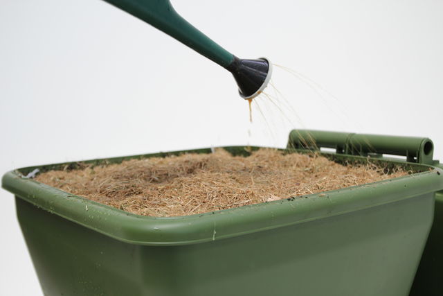 Hungry Bin Worm Farm - Adding water to a freshly started hungry bin to ensure the bedding is fully saturated.