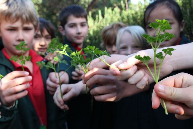 Hungry Bin Worm Farm - Hungry bin is a great way to engage students with sustainability issues, and encourage them to understand that they can be part of the wider solution. 
