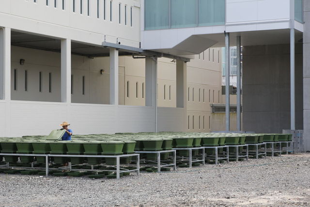 Hungry Bin Worm Farm - 200 hungry bins installed at Mt Eden Corrections Facility, now at Auckland South Corrections Facility, Wiri