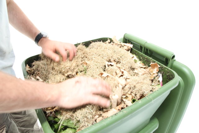 Hungry Bin Worm Farm - Adding dead leaves to the hungry bin prior to going away on holiday.