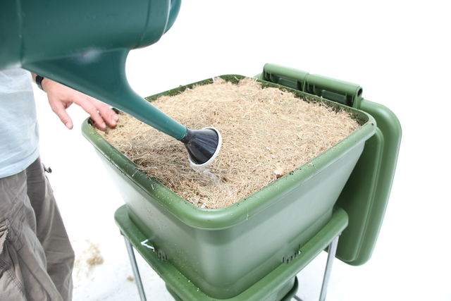 Hungry Bin Worm Farm - Adding water to a good layer of dead lawn clippings, leaves and shredded paper before going on holiday.